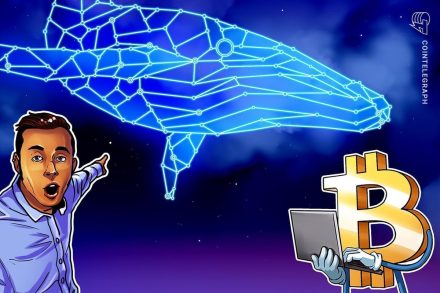 Bitcoin Holds $90K as Whales Buy Ethereum Dip