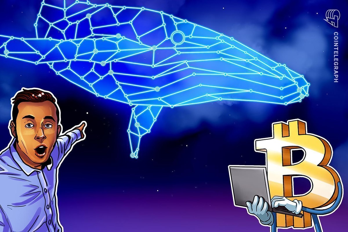 Bitcoin Holds $90K as Whales Buy Ethereum Dip