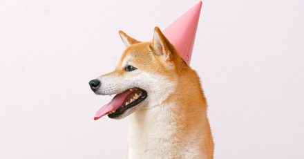 Dogecoin’s Dozen Years: Meme Coin Marks 12th Birthday