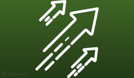 Bitcoin Dominance’s Crash Signal Observed — XRP, DOGE, Solana Poised to Go Ballistic