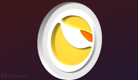 US Prosecutors Seek 12-Year Sentence for Do Kwon